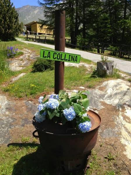 Hotel La Collina Saas Fee Exteriér fotografie